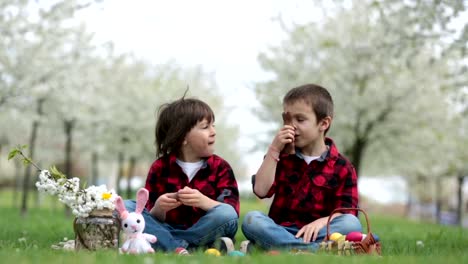 Two-children,-boy-brothers,-eating-chocolate-bunnies-and-having-fun-with-easter-eggs-in-the-park,-beautiful-spring-blooming-garden