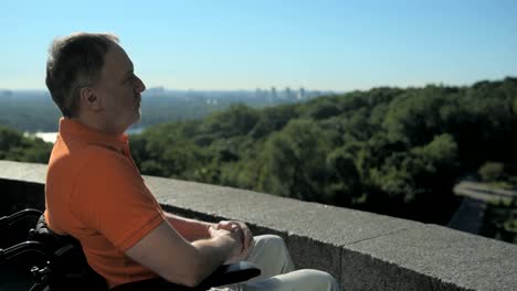 Hombre-serio-wheelchaired-disfrutando-de-las-vistas-sobre-los-hermosos-paisajes