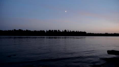 Smooth-river,-trees-on-the-opposite-bank