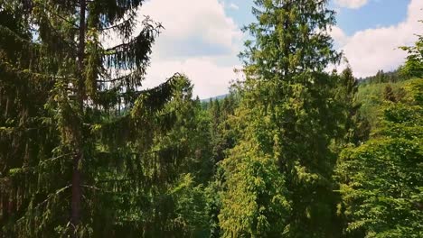 Aerial-flythrough-of-beautiful-mountains,-needles-and-forest