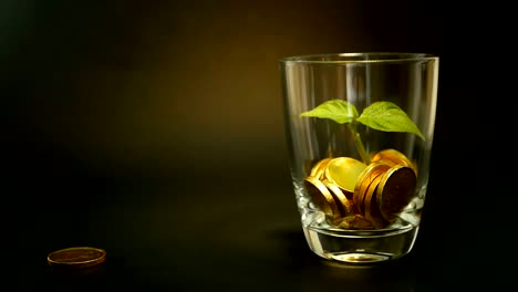 Goldmünzen-in-Glas-Jar-und-grüne-Blatt-sprießen-auf-schwarzem-Hintergrund.-Rotierende,-Verdrehung,-wirbelnden,-Spinnerei-Penny.