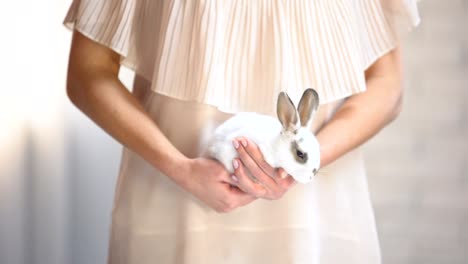 Woman-holding-in-hands-cute-white-bunny,-take-animal-from-shelter-social-program