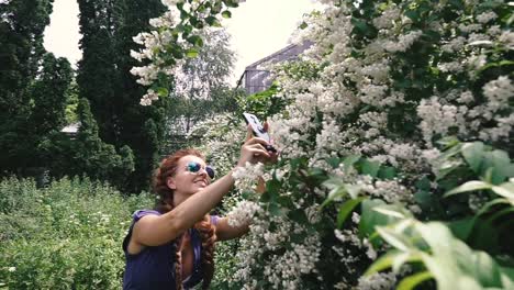 Smartphone.-A-young-woman-takes-flowers-on-a-smartphone.