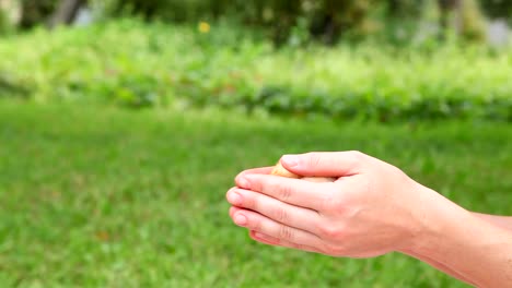 Cute-little-chick-in-hands.