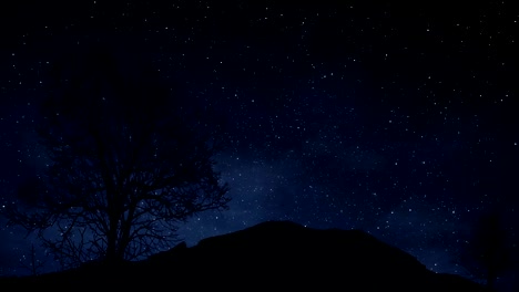 A-time-lapse-of-a-starry-night-with-a-shadow-of-a-tree-in-foreground-and-with-a-star-trail-effect