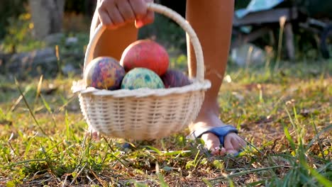 Nahaufnahme-eines-Kinder-nehmen-einen-Korb-mit-Ostereiern-im-Sonnenschein-Hintergrund