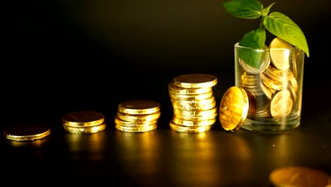 Management-efficiency.-Stacks-of-golden-coins-near-full-glass-and-green-leaf-of-sprout-on-black-background.-Success.