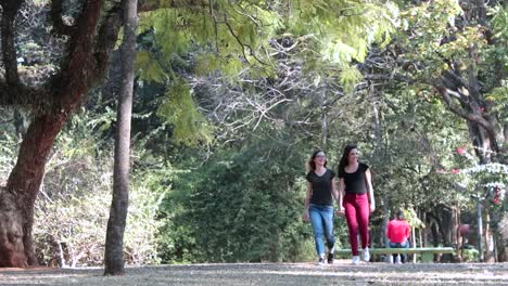 Amigas-gay-juntas-en-el-Parque-cogidos-de-la-mano