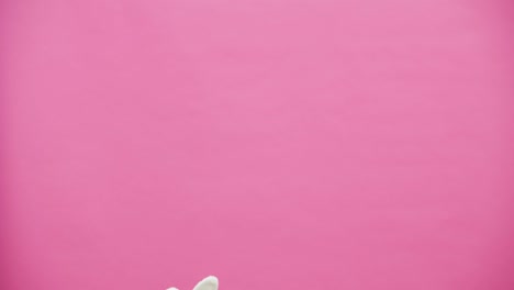 Young-sexy-couple-on-pink-background.-With-hackneyed-ears-on-the-head.-During-this-reproduction-sexual-rabbit-movements-and-looks,-after-a-while-go-out-of-the-frame.