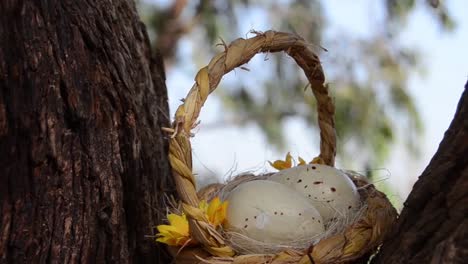 Quail-Eggs-In-The-Nest,-Easter-Theme,-Quail-Nest.-Basket-with-two-eggs-and-flower-between-trees