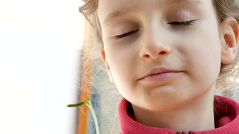 De-cerca-retrato-de-niño-de-una-niña-dulce-comiendo-microverdes-verdes-brillantes-de-girasol.-Niños-y-naturaleza,-concepto-vegetariano.