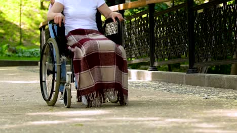 Volunteer-walking-with-disabled-patient-in-wheelchair-in-park,-rehabilitation