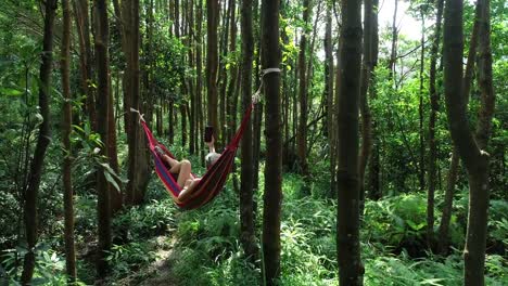 Aerial-view-of-relaxing-in-hammock-taking-selfie-with-smart-phone-in-tropical-rainforest