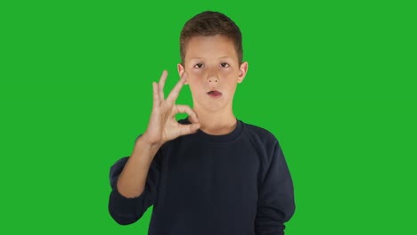 Deaf-boy-signing-I-know-sign-language,-communication-for-hearing-impaired.-Green-screen