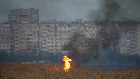 Schrecklicher-Blick-auf-die-verheerenden-Gabeln-des-Feuers-und-dichte-Mengen-von-Rauch,-die-die-bulrush-Cattails-Vororte-in-der-Nacht-in-slo-mo