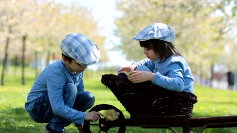 Cute-little-children,-boy-brothers,-playing-with-ducklings-springtime,-together,-little-friend,-childhood-happiness