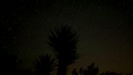 Galaxia-en-timelapse-del-árbol-de-joshua