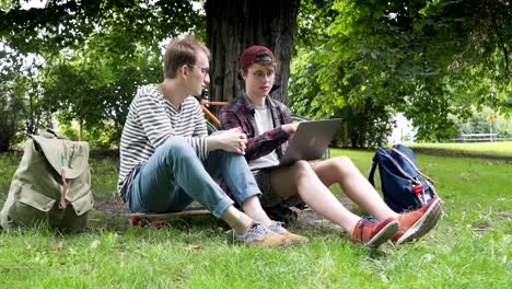 Dos-tipos-creativos-discutiendo-un-nuevo-proyecto-utilizando-un-ordenador-portátil-al-aire-libre-en-un-césped-de-un-parque-de-la-ciudad-en-un-día-cálido-y-un-clima-agradable