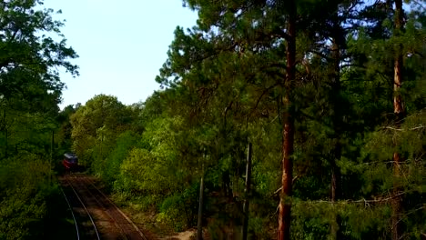 Die-Straßenbahn-fährt-mitten-im-grünen-Wald