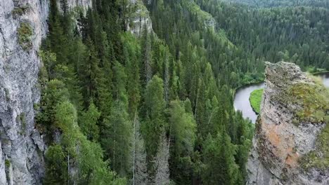 Mirador-de-montaña-hermosa-alta-de-las-montañas.-Clip.-Gran-valle-con-bosque-de-eucaliptos-gruesa.-Vista-superior-de-un-gran-acantilado-en-el-bosque