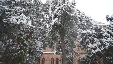 Chernivtsi-Universität-(die-ehemalige-Residenz-Metropoliten),-Ukraine.-Winter