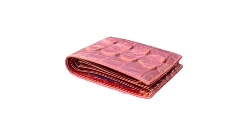 wallet-of-leather-on-isolated