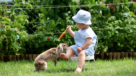 Lindo-bebé-niño,-niño-alimentación-conejito-con-zanahorias-en-el-parque,-al-aire-libre