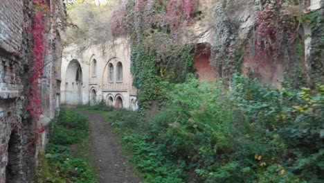 Abandoned-Fortifications,-Overgrown-with-Ivy,-Second-World-War