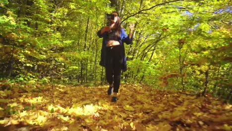 Blogger-charismatische-junge-Frau-ist-im-herbstlichen-Wald-spazieren-und-Videoaufnahme-für-Vlog-mit-Kamera-sprechen-aktiv-gestikulieren-und-lächelnd