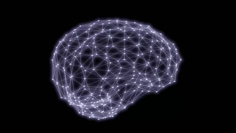 Human-brain-triangles-grid-rotation-3D-rendering