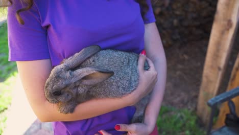 Concept-cute-beautiful-animals.-Bunny-in-the-hands-of-a-teenage-girl.-Livestock-and-farming,-rabbit-farm,-children-and-animals,-summer-vacation.-Contact-with-bunny-and-pets.-Close-up.