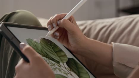 Artist-Painting-Plant-at-Workplace-or-Woman-Using-Tablet-and-Pencil-for-Artwork