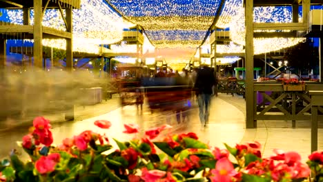 Fußgängerzone-mit-Blumenbeeten-und-schöne-Beleuchtung-eingerichtet.-Timelapse