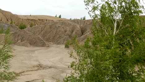 Paisaje-de-montaña.-Fuerte-viento-balancea-los-árboles