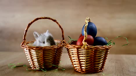 Easter-bunny-is-hiding-in-a-basket.-Happy-Easter