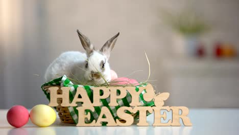 Wooden-sign-happy-Easter-and-colored-eggs-on-table-with-cute-bunny-in-basket