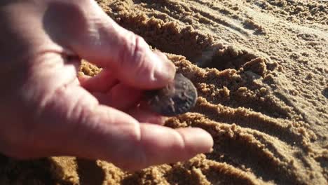 Man-is-looking-for-coins-in-the-sand.-Search-for-antique-coins.