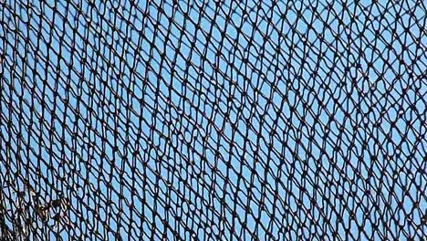 fishing-net-blue-sky-background