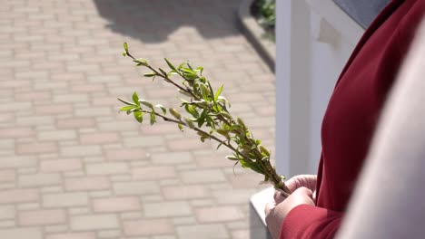 La-fiesta-cristiana-cristiana-es-un-domingo-de-ramos-que-se-celebra-una-semana-antes-de-la-Pascua,-el-santo-padre-ilumina-las-ramas-de-sauce-con-agua-bendita,-copia-el-espacio