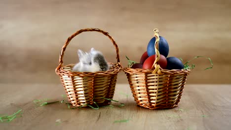 Cute-Easter-bunny-in-the-basket.-Happy-Easter