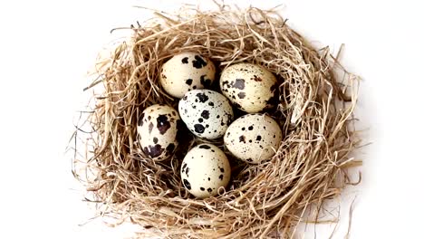 Quail-eggs-in-nest-from-straw-for-Easter