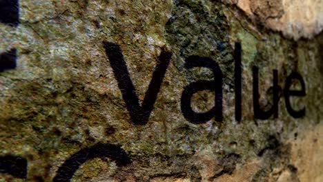 Valor-texto-sobre-fondo-de-grunge