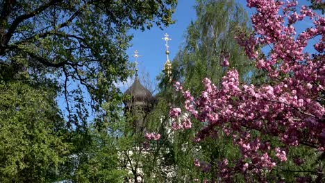 Orthodoxe-Kirche,-umgeben-von-blühenden-Bäumen-am-Ostersonntag