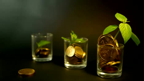 Golden-coins-in-glass-and-green-leaf-of-sprout-on-black-background.-Success-of-finance-business,-investment,-ideas.