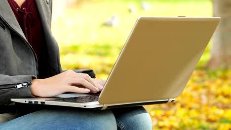 Woman-hands-typing-on-a-laptop-in-a-park