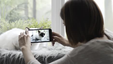 Frau-eine-Videoaufnahme-ihrer-niedlichen-Katze