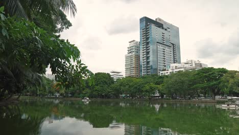 Ein-großer-See-im-Stadtpark-im-Innenstadtbereich-von-Wolkenkratzern-Hintergrund.-Grüne-Äste-von-Palmen-und-Bäumen,-die-tief-zum-Wasser-gebogen-werden