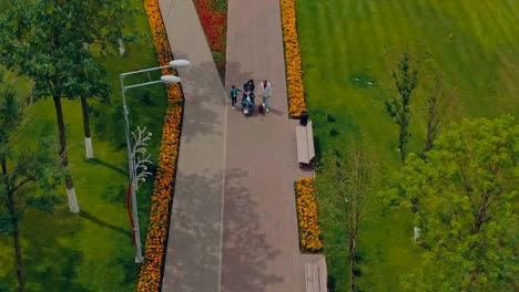 La-familia-con-un-hijo-en-silla-de-ruedas-camina-por-el-parque.-Vídeo-de-vista-aérea-desde-el-helicóptero.-Vista-superior.