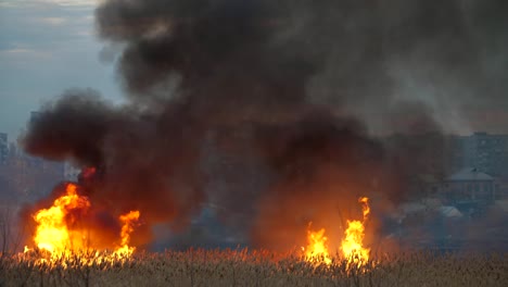 Auffällige-Ansicht-der-reißenden-Flamme-mit-dichtem-dunklen-Rauch,-der-im-Frühling-in-der-Nacht-mit-mehrstöckigen-Häusern-aufsteigt.