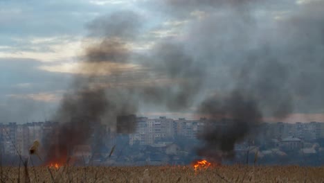 Astonishing-view-of-two-dense-flows-of-black-smoke-and-blaze-devouring-bulrush-cattails-on-the-Dnipro-riverbank-in-spring-in-slo-mo